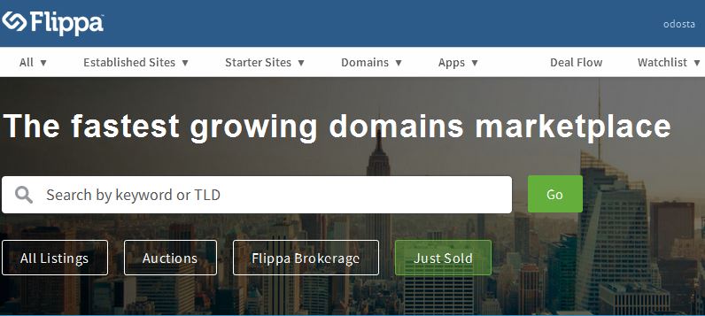 buy and sell domain with flippa