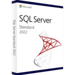 Microsoft SQL Server 2022 Standard Key