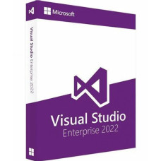 Microsoft Visual Studio Enterprise 2022 Global Key