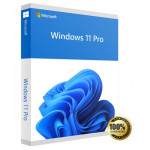 Buy Windows 11 Professional Product Key